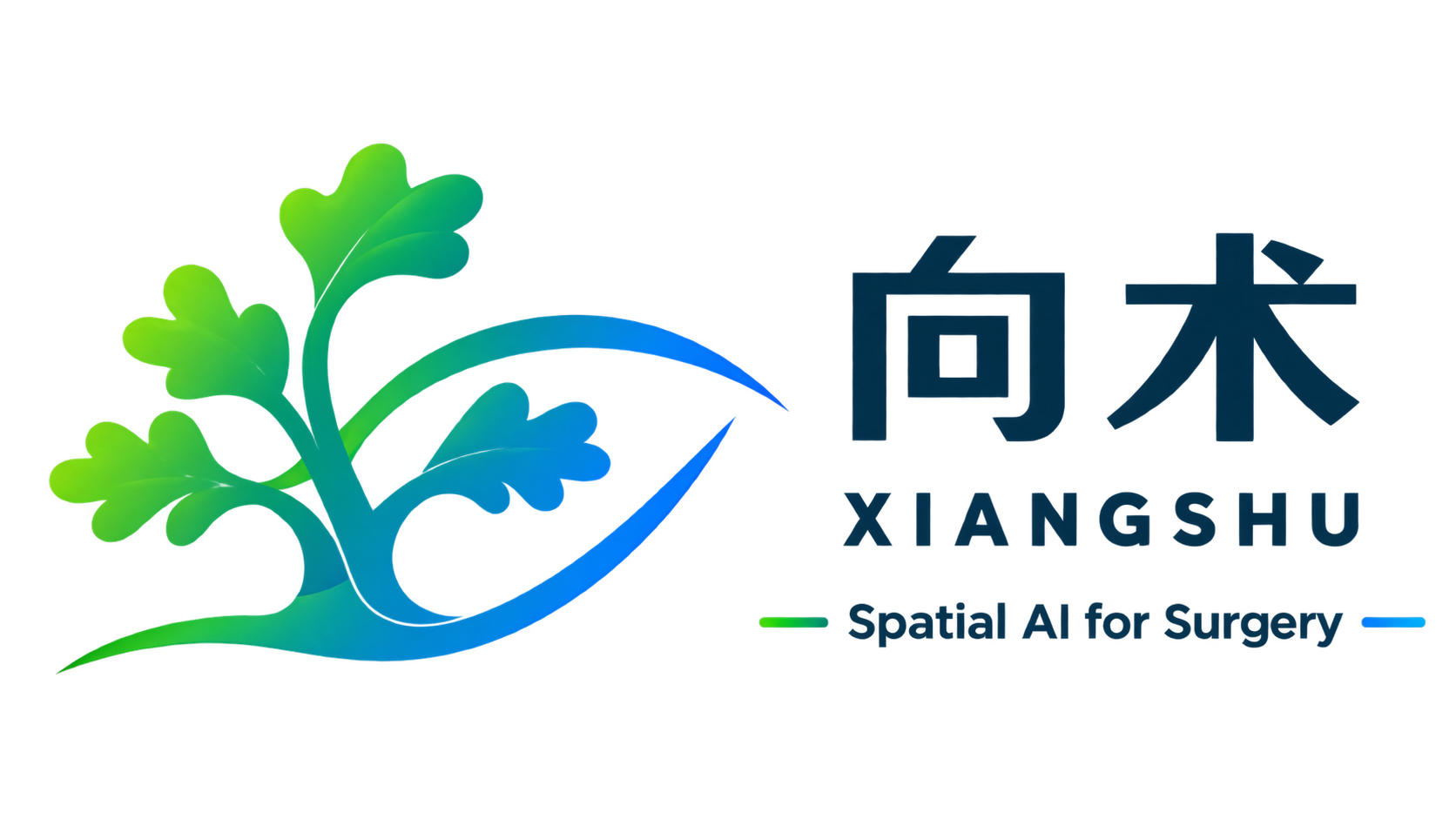 向术 Xiangshu — Spatial AI for Surgery